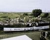 1990 - Skyland