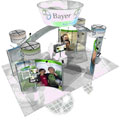 Bayer