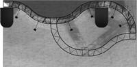 Top View